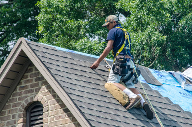 Best Residential Roofing Contractor  in Marion, IL